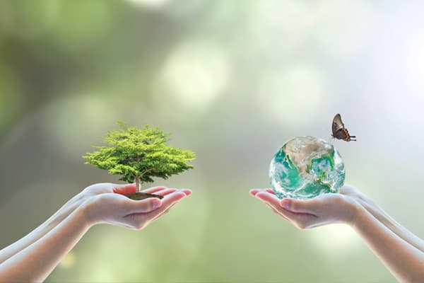Medio ambiente